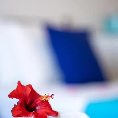 Sun 300m From The Appartamento *