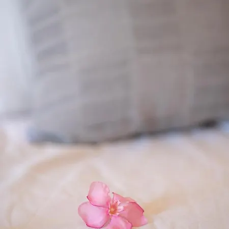 Sun 300m From The * Gennadi