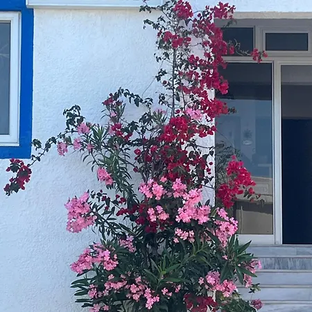 Sun 300m From The * Gennadi