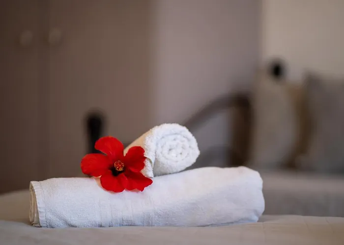 Sun 500m From The غينادي