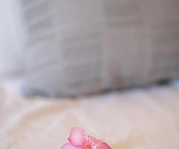 Sun 500m From The * غينادي