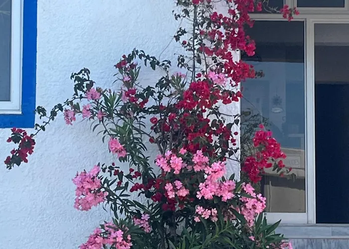 Sun 500m From The * Gennadi