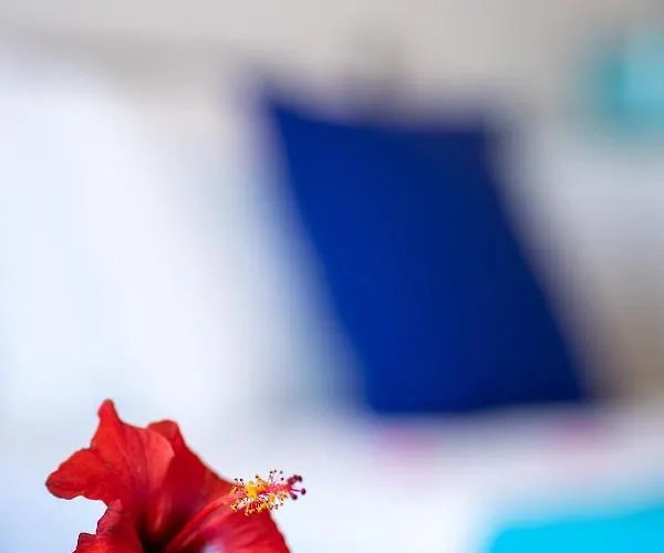 Sun 500m From The Apartamento *